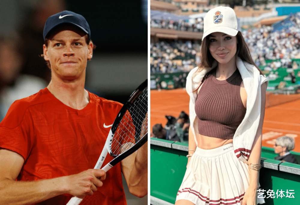 鲜明对比的 鲜明对比的