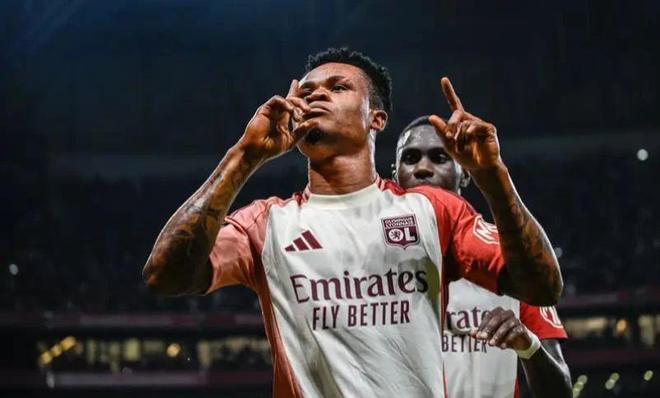 体系的意义 体系的意义